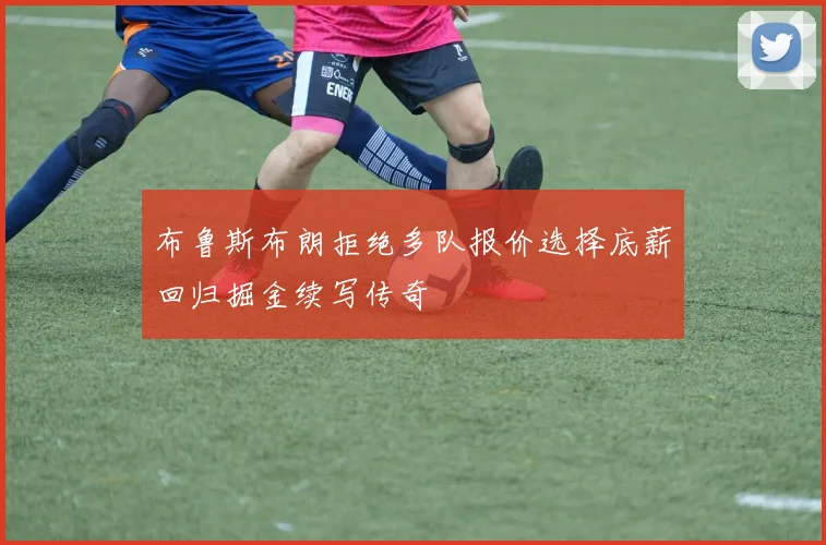 布鲁斯布朗拒绝多队报价选择底薪回归掘金续写传奇