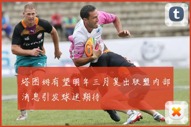 塔图姆有望明年三月复出联盟内部消息引发球迷期待