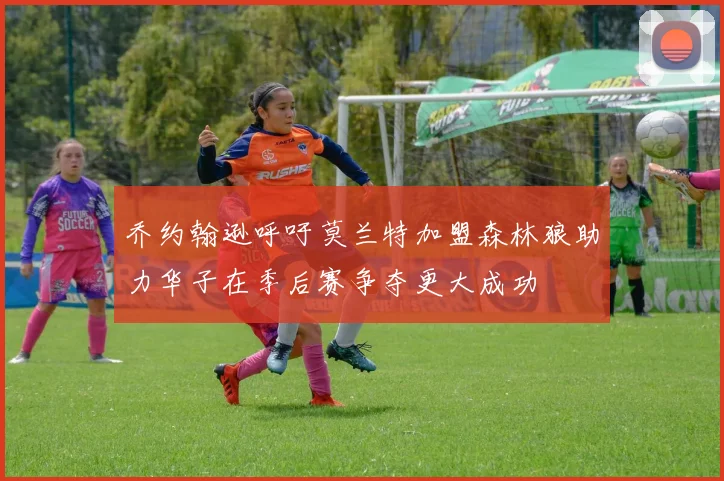 乔约翰逊呼吁莫兰特加盟森林狼助力华子在季后赛争夺更大成功