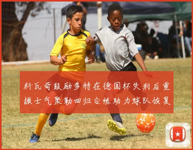 科瓦奇鼓励多特在德国杯失利后重振士气聚勒回归合练助力球队恢复状态