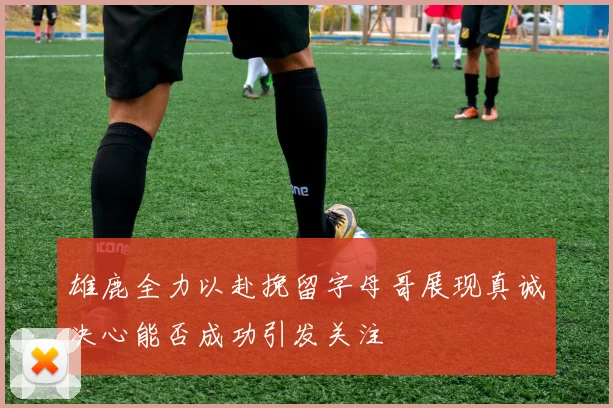 雄鹿全力以赴挽留字母哥展现真诚决心能否成功引发关注