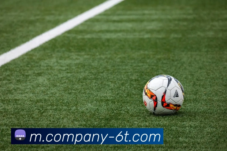 6T体育平台生态图