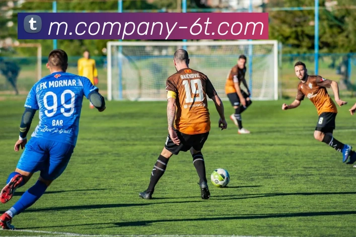 6T体育APP 封面图